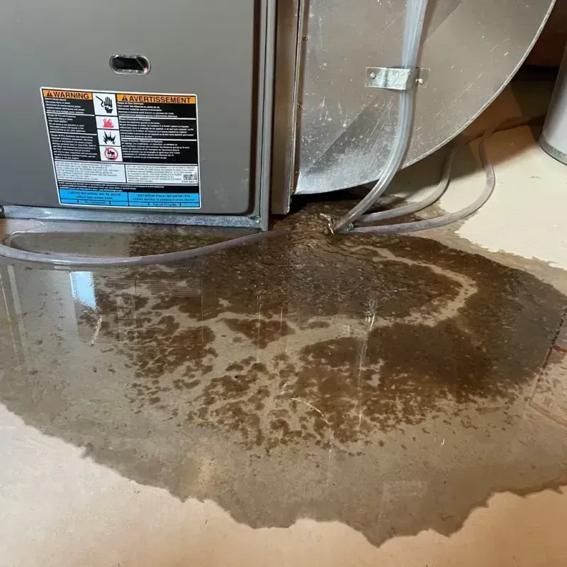 Appliance Leak Cleanup in Stuart, FL